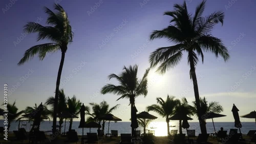 palm trees on tropical summer beach with sunset sky n sun light ray palm trees on tropical summer beach with sunset sky n sun light ray