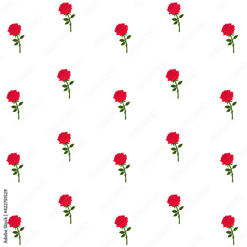 Red Rose flower Seamless pattern vector illustration Isolated on White background.