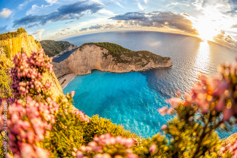 Fototapeta premium Navagio beach with shipwreck against colorful flowers on Zakynthos island, Greece