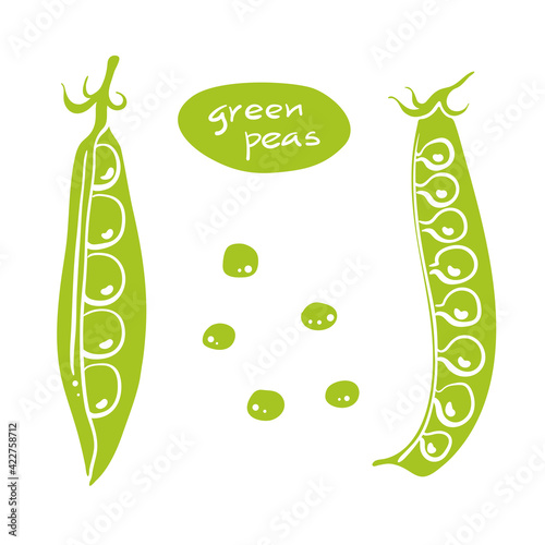 Green peas in pods. Colorful sketch collection of vegetables isolated on white background. Doodle hand drawn vegetable icons. Vector illustration