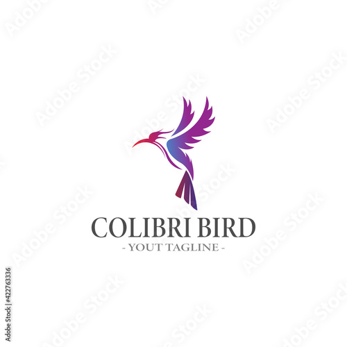 Flying colibri Bird Logo abstract colorful design vector template 