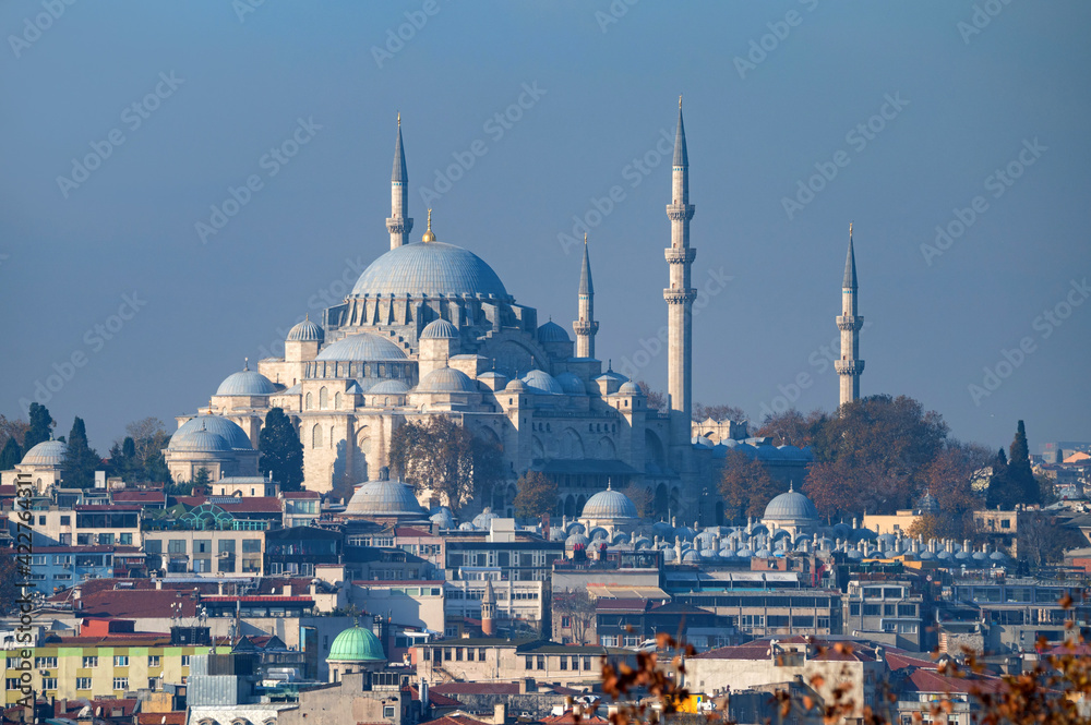 Obraz premium The beautiful view on Suleymaniye Mosquei Istanbul, Turkey.