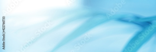 Light blue Leaf background. Blurred leaves and circular bokeh. Abstract for design and wallpaper.