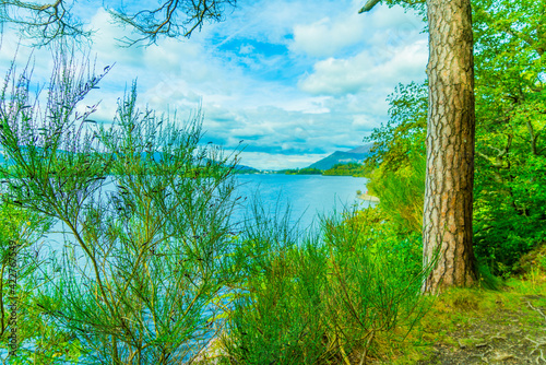 lake in the forest