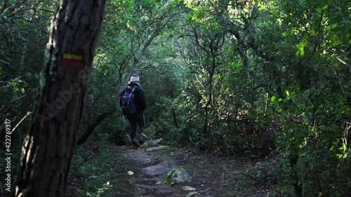 Girl with a backpack walking on a path in nature surrounded by beautiful green leaves trees.