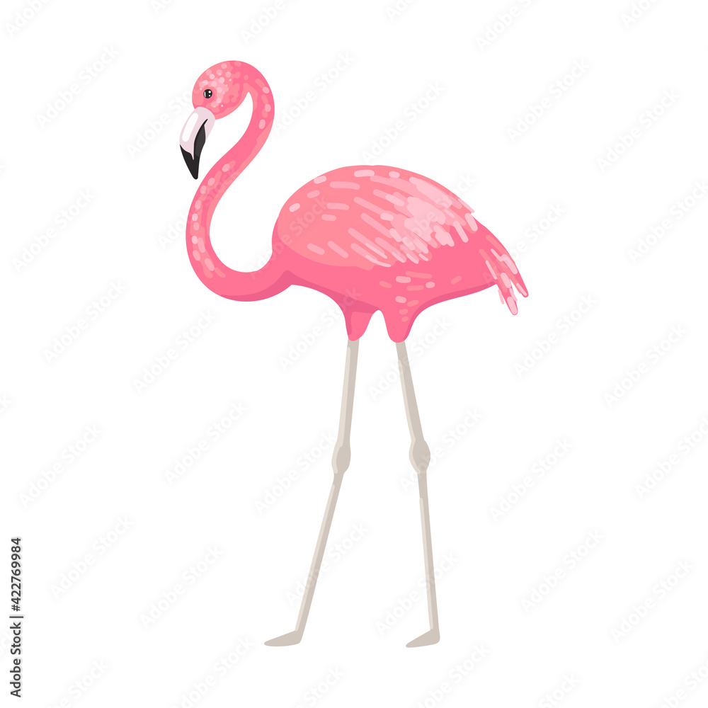Fototapeta premium Flamingo. Pink flamingo walking pink bird. Tropical animal, symbol of summer. Vector character, cartoon animal illustration.