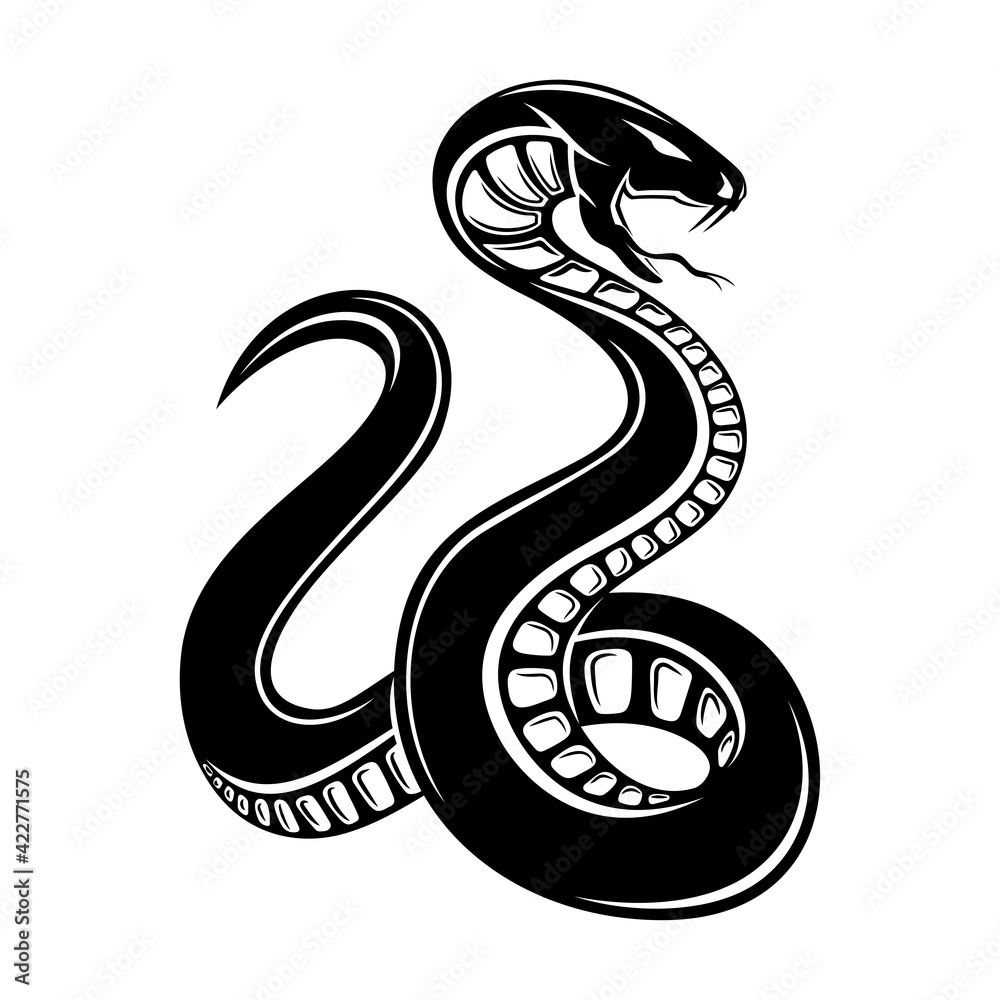 Illustration with angry snake icon on white background. Illustration with angry snake icon on white background.