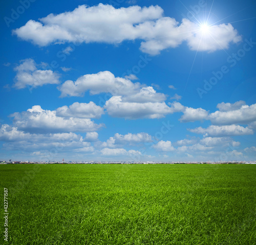 The image of the meadow that looks so refreshing. And the sky looks so bright...