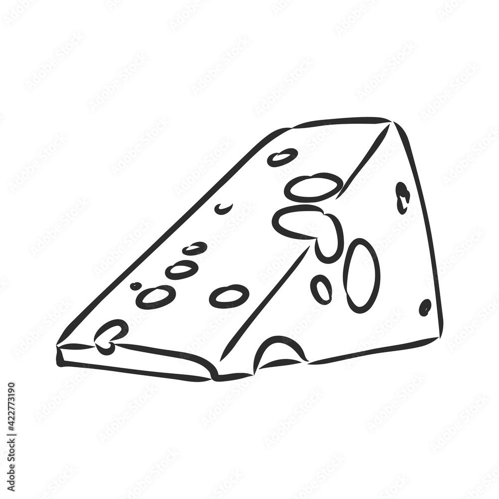 Piece of Cheese. a piece of cheese, vector sketch on a white background Piece of Cheese. a piece of cheese, vector sketch on a white background