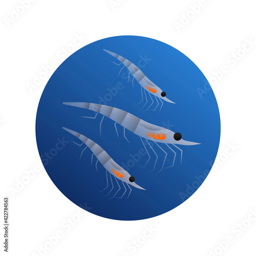 Krill sea food animal illustration isolated