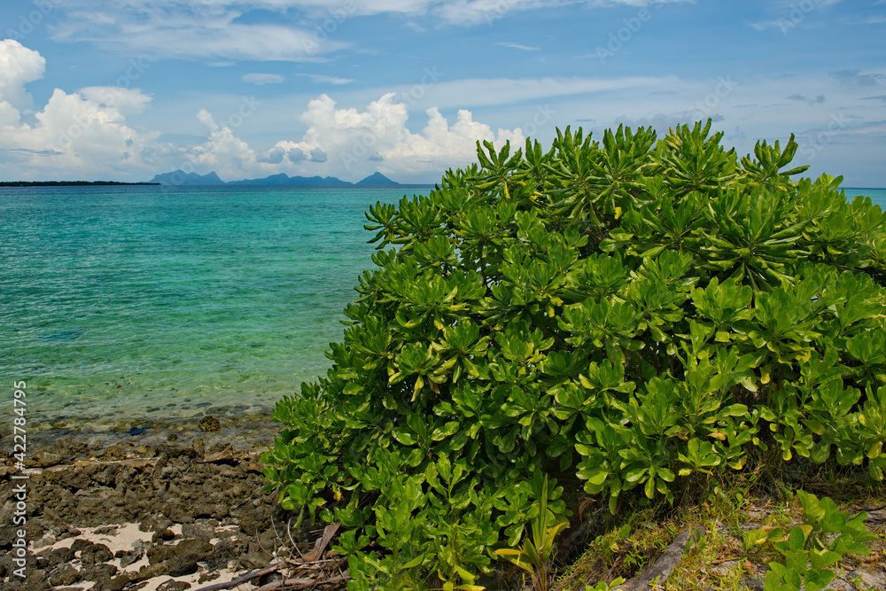 Malaysia. A deserted reef island near the town of Semporna on the island of Borneo.