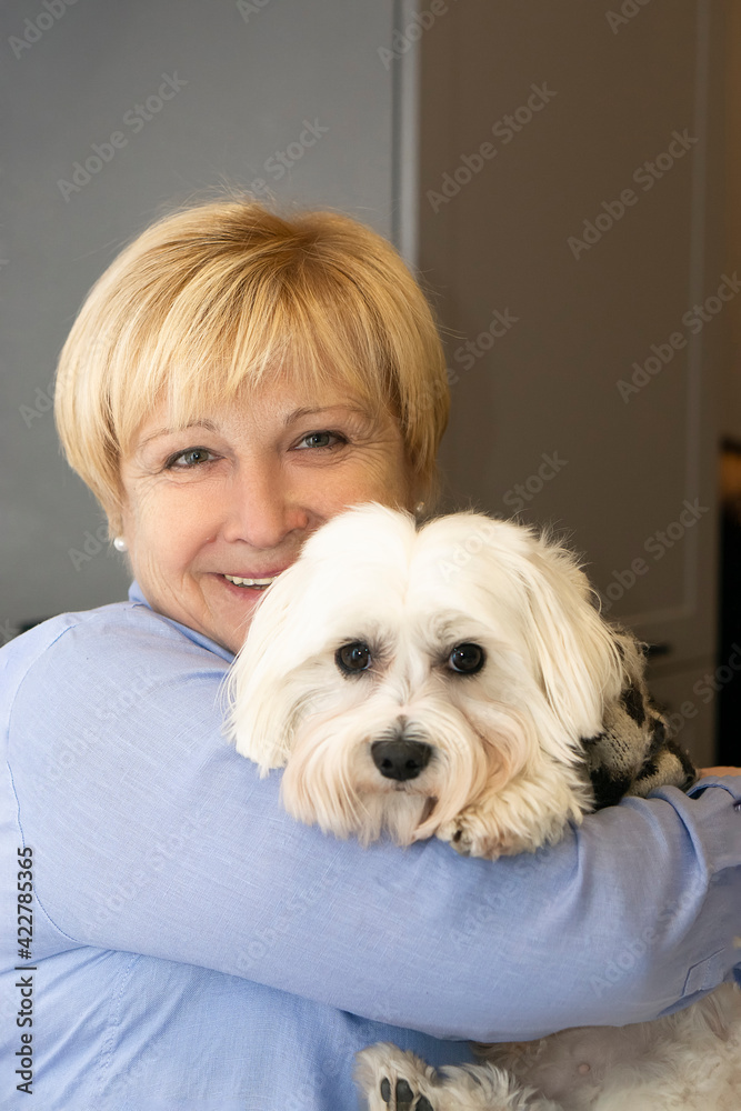 Happiness Smiling senior woman with maltese dog . Activity lifestyle senior people concept . Stay home concept Happiness Smiling senior woman with maltese dog . Activity lifestyle senior people concept . Stay home concept