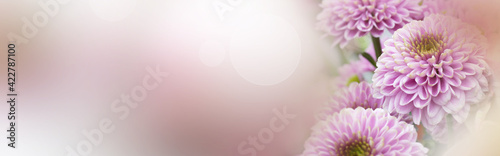 Pink flowers for mother s day greetings. Pastel colored floral still life with tender bokeh. Horizontal background with space for text.