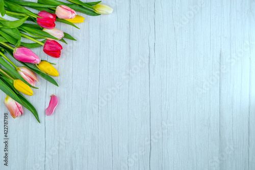 Tulips on a wooden surface. Floral background with copy space for placing text for the design of greeting posts, advertising campaigns, florist business cards, souvenirs, printing on fabric, cover photo