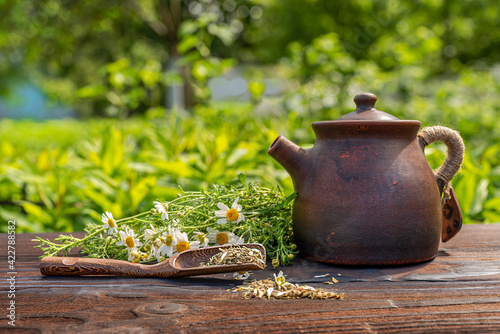 Ceramic naive handmade teapot made of red clay. Bamboo spoon with chamomile tea, fresh daisy flowers, wooden table. A bright sunny day, hard light. Floral background in blur. photo