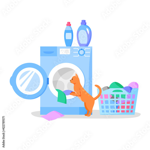 Cat looking in open washing machine, laundry basket with clothes, bottles with liquid detergents, vector flat illustration.