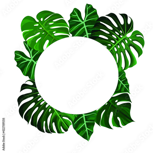 round frame with monstera leaves - vector square frame with monstera leaves high resolution