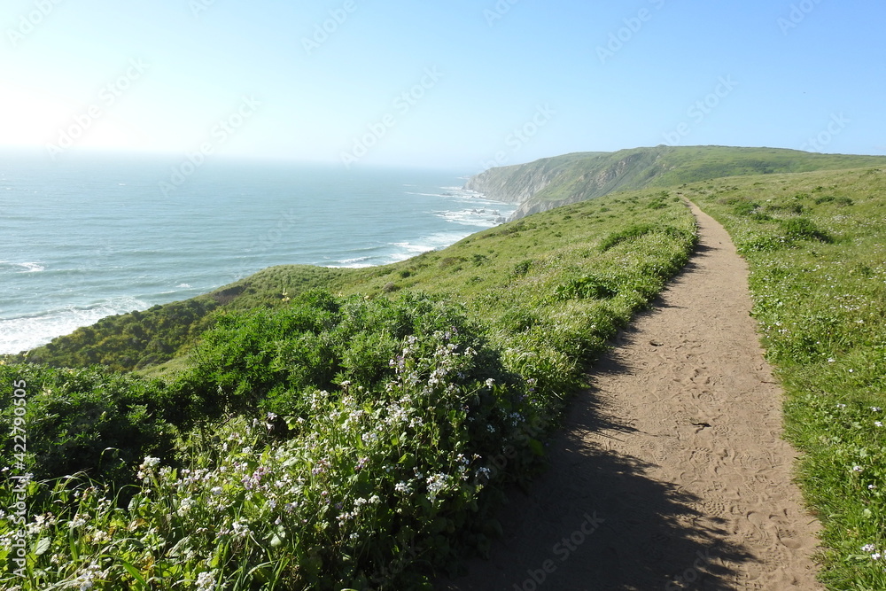 The beautiful scenery of the Point Reyes National Seashore in Marin County, Northern California.