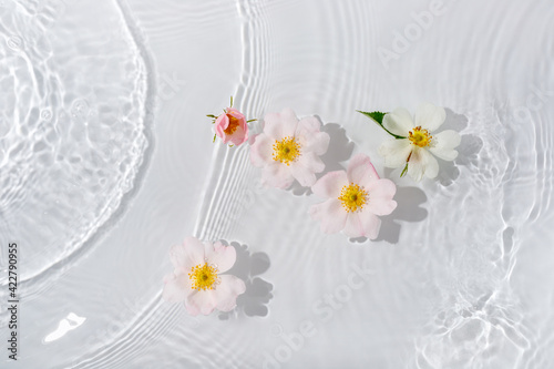 Greeting card with beautiful rose petals macro with drop floating on surface of the water close up. It can be used as background.