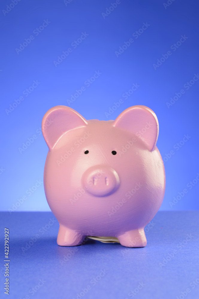 Piggy Bank Account Piggy Bank Account
