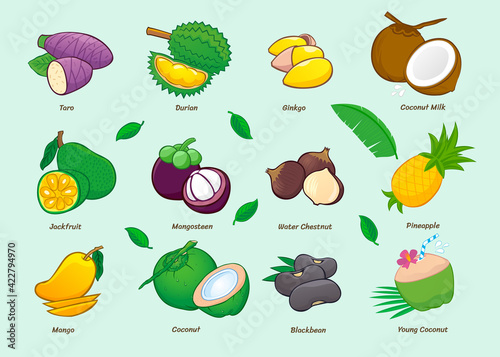 Collection of cartoon food icons. Asian fruits. Taro, Durian, Gingko, Jackfruit (ka-noon), water chestnut (haw), mango, black bean, Pineapple, Coconut and Coconut milk. Vector illustration