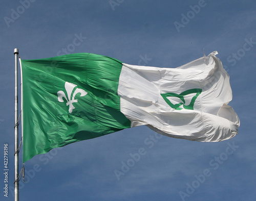 Waving franco ontarian flag photo