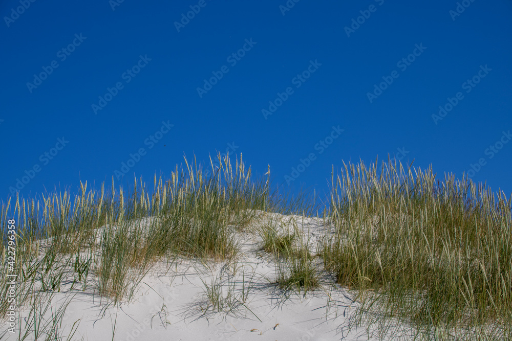 Amrum Amrum
