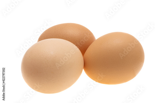 chicken eggs isolated