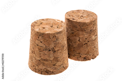 cork tree isolated