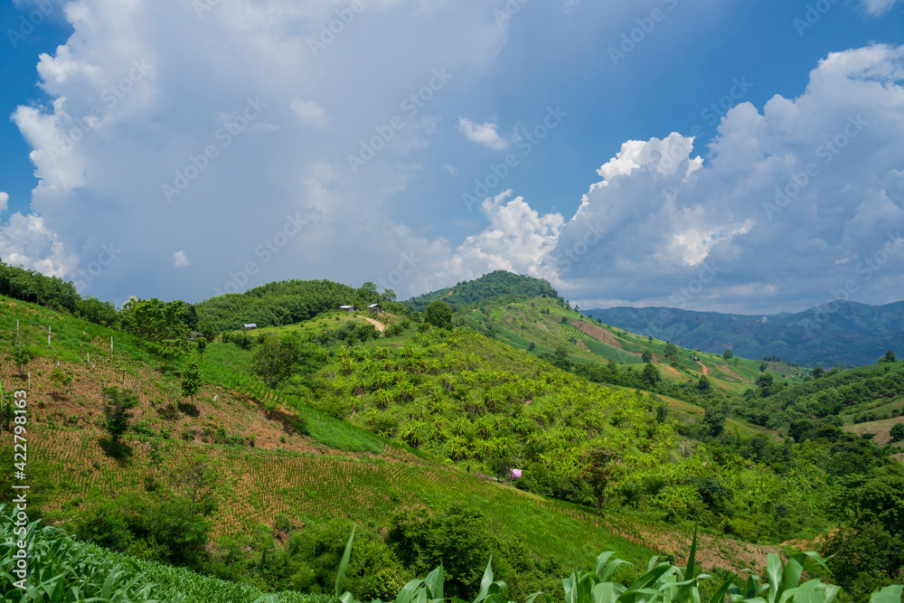 landscape mountains, grass and green trees with blue sky in rainy season