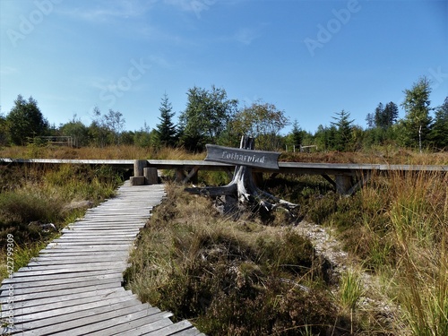 Foto Holzstege mit Landschaften am Lotharpfad an der Schwarzwaldhochstrasse