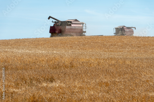 combine harvester while working in the field with wheat during the harvesting campaign. Combine harvesting the wheat field. The harvest season of grain crops. © Pokoman