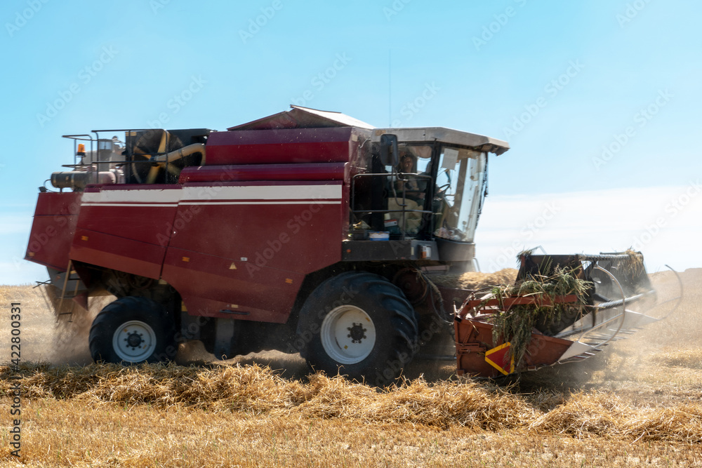 Obraz premium combine harvester while working in the field with wheat during the harvesting campaign. Combine harvesting the wheat field. The harvest season of grain crops.