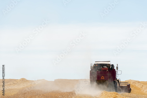 combine harvester while working in the field with wheat during the harvesting campaign. Combine harvesting the wheat field. The harvest season of grain crops. photo