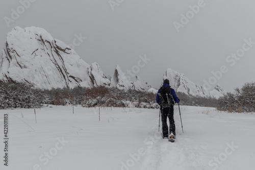 Snowshoeing through the park