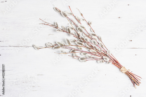 Bild auf Leinwand Sprig of willow on old white wooden boards background