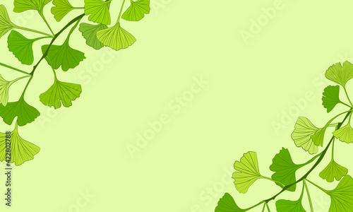 Set of hand drawn leaves ginkgo biloba. Collection ginkgo biloba isolated leaves on a branch berry. Set of medical  botanical plant. Vector sketch hand drawn.