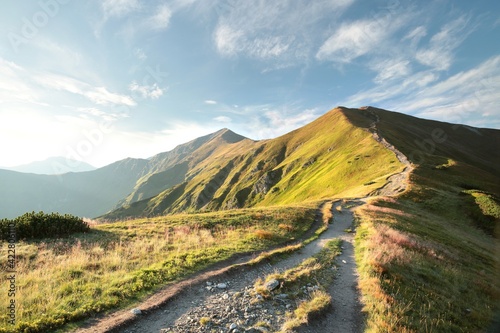 Fototapeta Naklejka Na Ścianę i Meble -  Trail through the Carpathian Mountains during sunrise, July