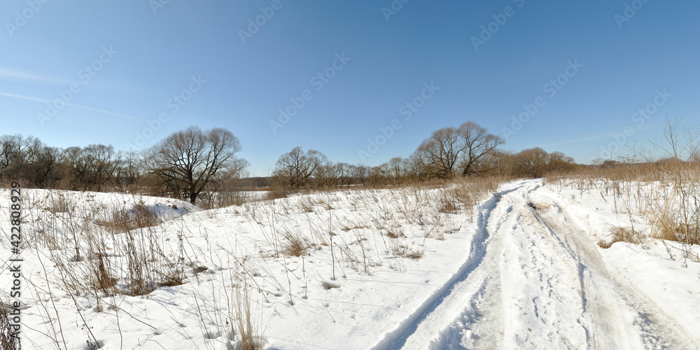 Spring walk through the forest, beautiful panorama. Spring walk through the forest, beautiful panorama.