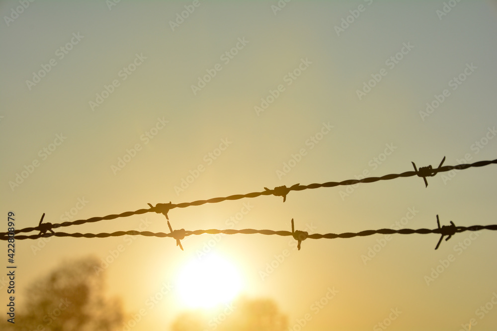 Barbed wire fence at sunset with many sky Barbed wire fence at sunset with many sky