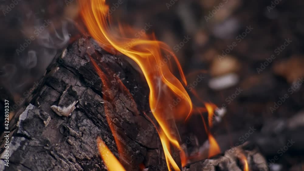 Bonefire in the forest, Fire flames in campfire, slow motion. Close up Bonefire in the forest, Fire flames in campfire, slow motion. Close up