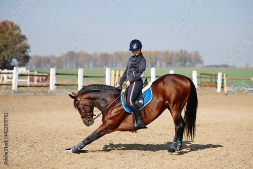 Young horsewoman riding on brown horse in paddok outdoors, copy space. Equestrian sport.