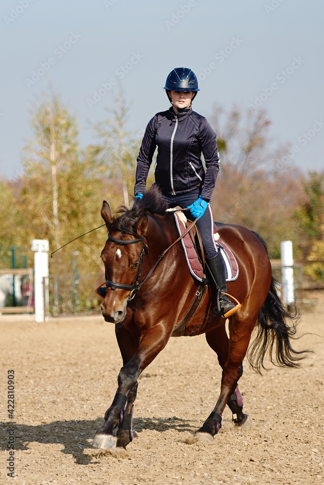 Young horsewoman riding on brown horse in paddok outdoors, copy space. Equestrian sport. Young horsewoman riding on brown horse in paddok outdoors, copy space. Equestrian sport.