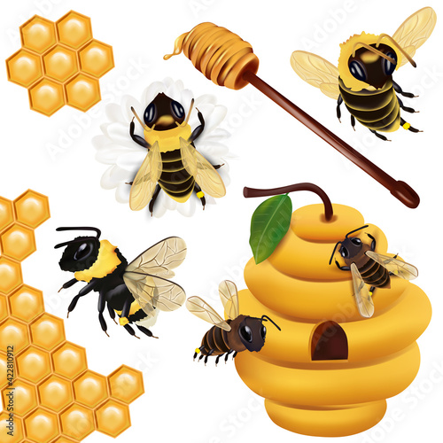Fototapeta Naklejka Na Ścianę i Meble -  Set Honey bee, wasp, bumblebee, honeycomb, beehive, honey dipper with honey on white background. 3d Vector icon.