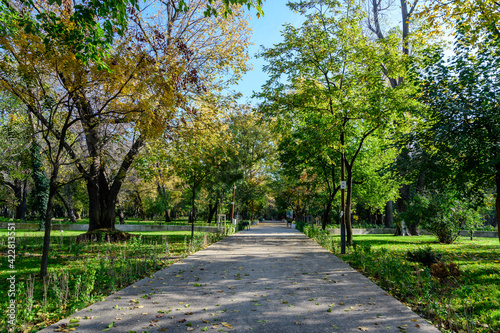 Landscape with the main alley with vivid green and yellow plants  green lime trees and grass in a sunny autumn day in Parcul Operei  Opera Park  in Bucharest  Romania .