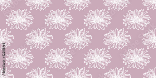 Daisy flower vector pattern background. Pink wallpaper.