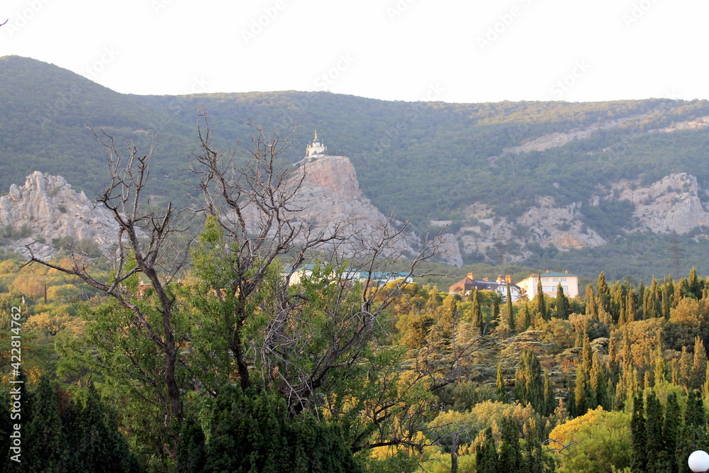 Obraz premium landscape with mountains
