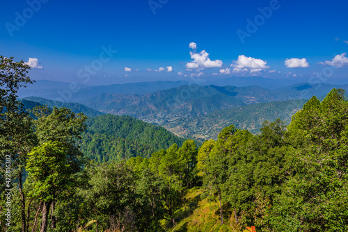 Pine tree forest on mountain slopes of Himalayas mountains of Binsar wildlife sanctuary at Almora, Uttarakhand, India. Sustainable industry, ecosystem and healthy environment concepts and background.