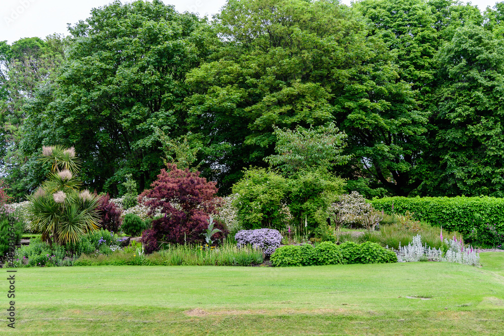 Obraz premium Minimalist monochrome green background with wild azalea or Rhododendron plant an old green trees and leaves in a park in a summer day in Scotland, United Kingdom.