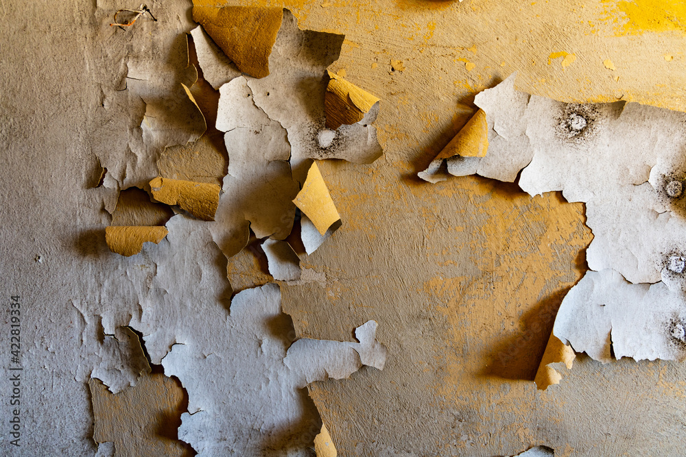 Old lacquer paint peeling out of wall in old abandoned buildings Old lacquer paint peeling out of wall in old abandoned buildings